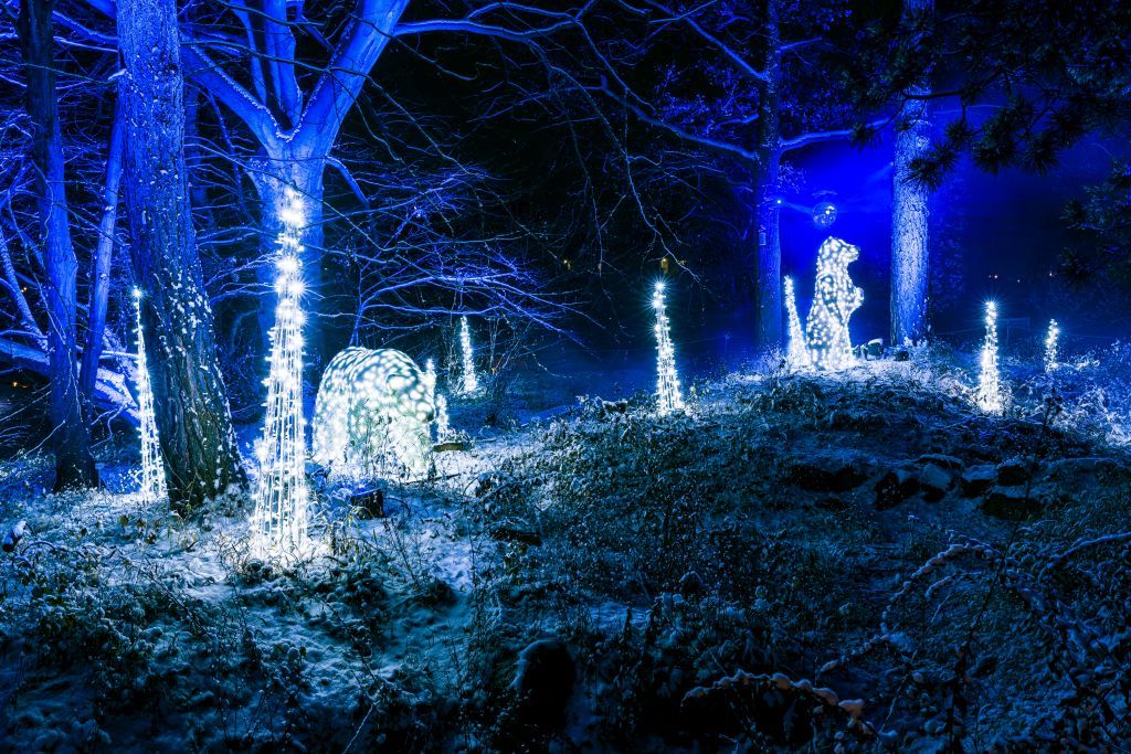 Christmas Garden Berlin 2021 | Monde de glace ©Christmas Garden/Michael Clemens