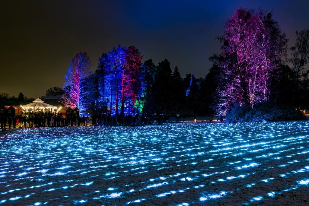 Eine nächtliche Szene mit blauen Lichtern auf dem Boden und Bäumen, die in Pink und Blau beleuchtet sind. Eine Gruppe von Menschen steht nahe eines beleuchteten Pavillons Links im Bild.
