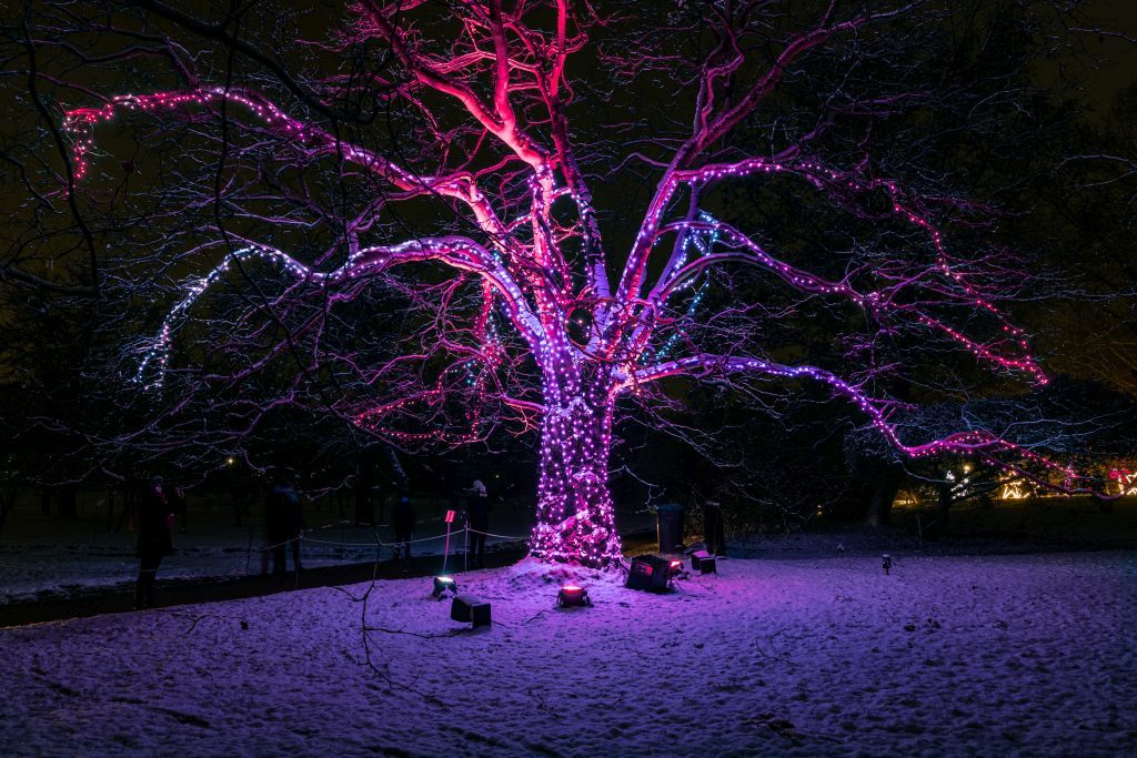 christmas-garden-berlin-2021-singing-tree