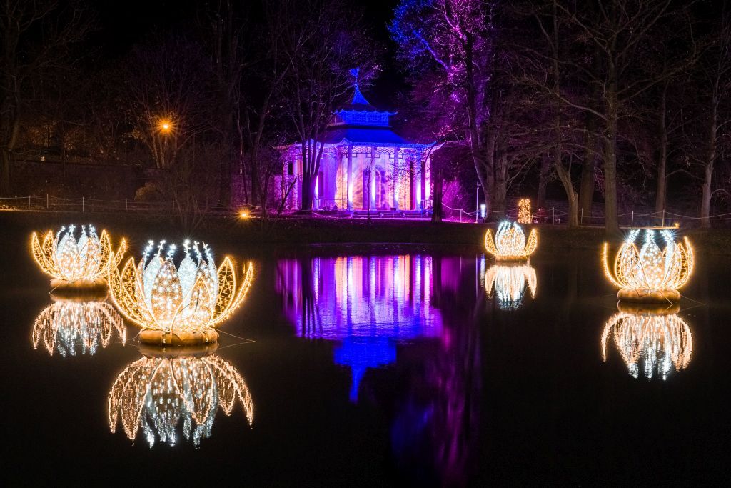 Christmas Garden Dresden 2021 | Blütenzauber ©Christmas Garden/Michael Clemens Christmas Garden Dresden 2021 | Blütenzauber ©Christmas Garden/Michael Clemens