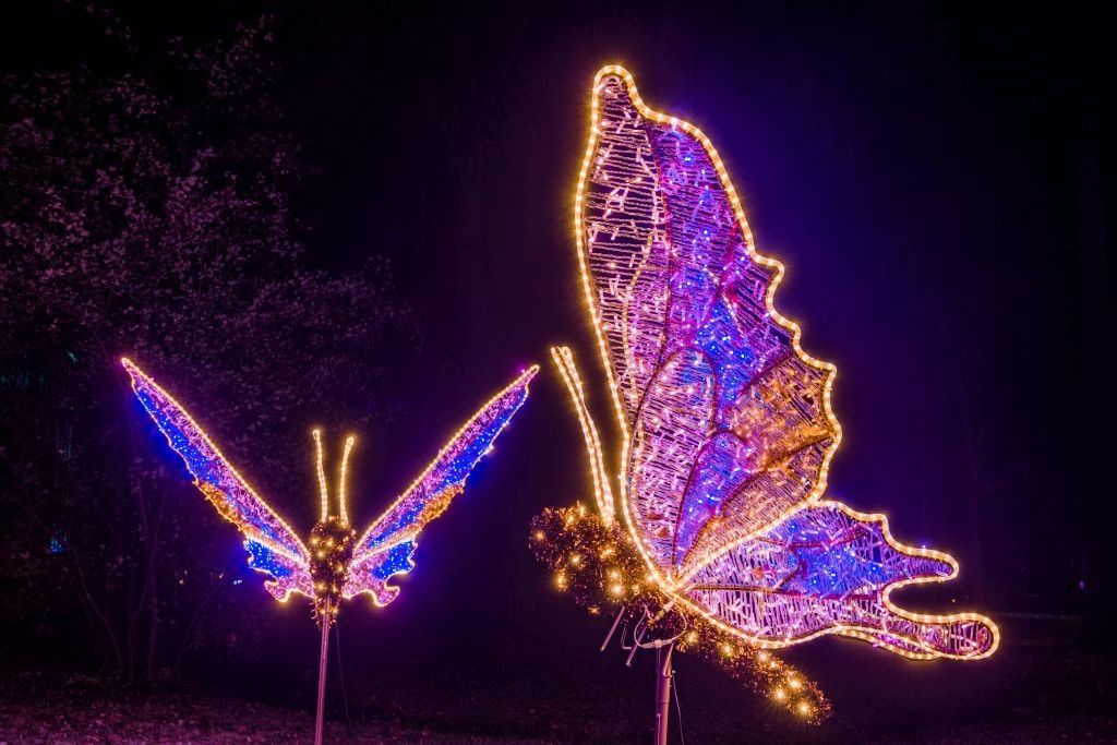 christmas-garden-dresden-2021-weihnachtsschmetterling-nah