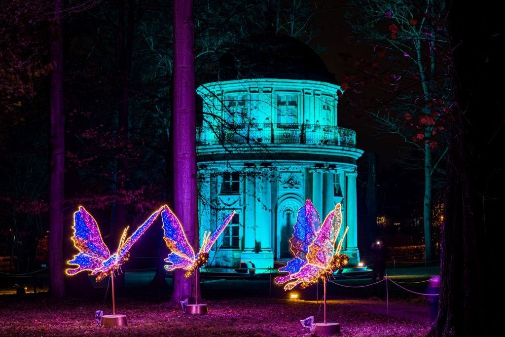 christmas-garden-dresden-2021-weihnachtsschmetterlinge
