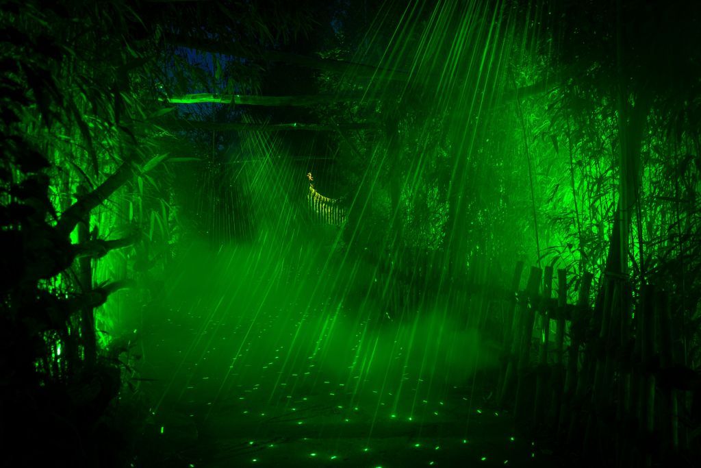 christmas-garden-hannover-2021-dschungel