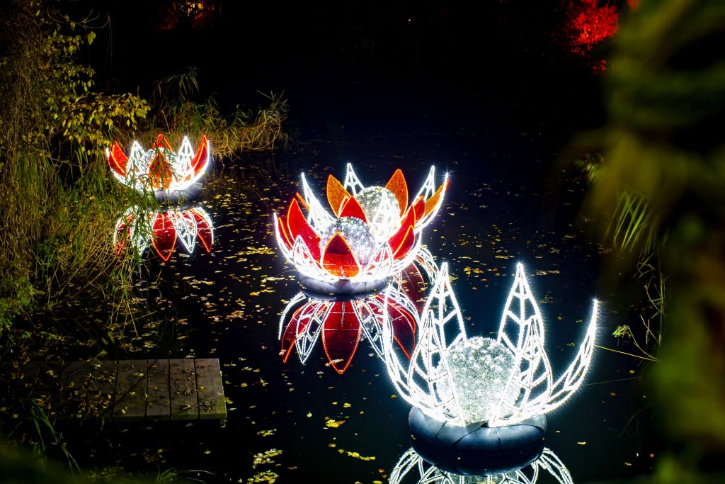 christmas-garden-hannover-2021-seerosenteich