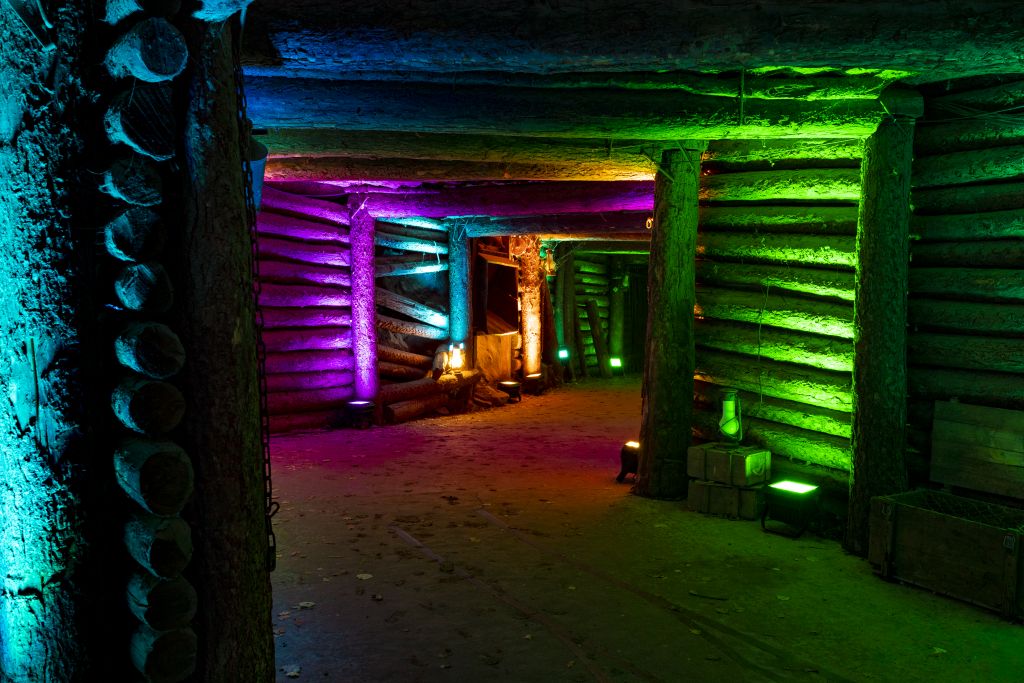 christmas-garden-hannover-2021-zaubertunnel