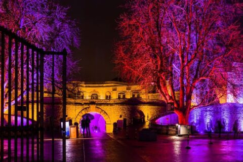 Tour operator Christmas Garden Koblenz