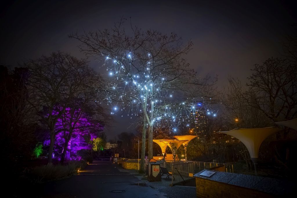 christmas-garden-koeln-2021-baum-wunder