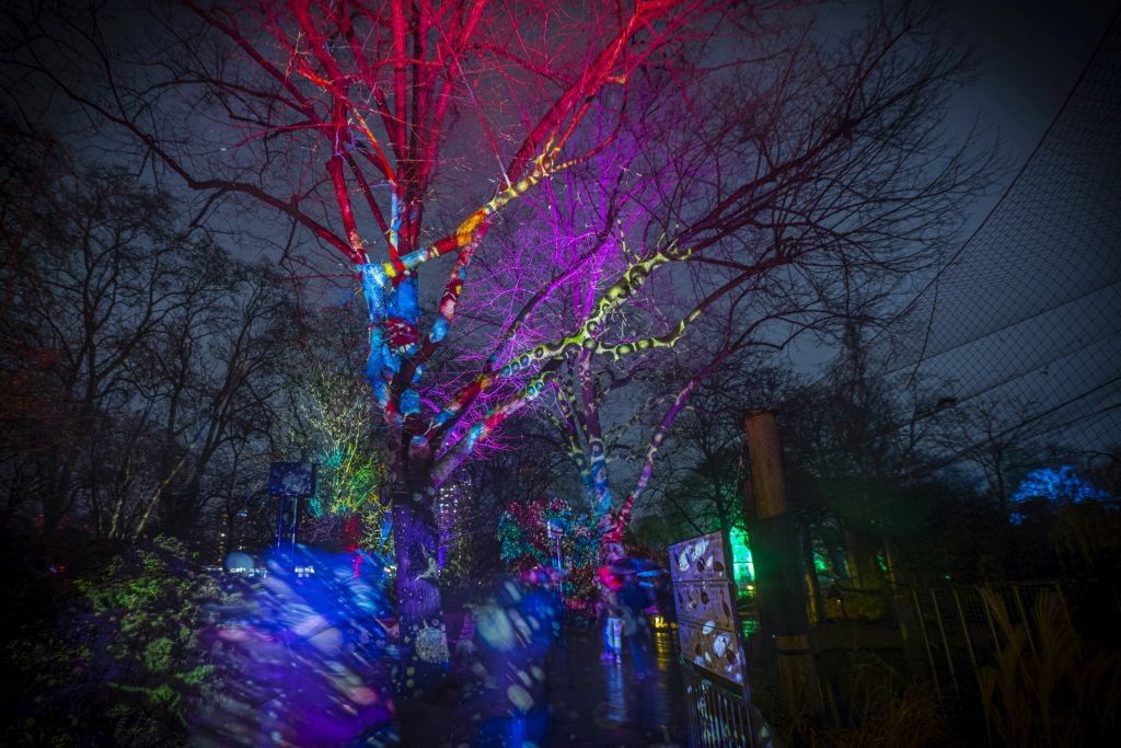 christmas-garden-koeln-2021-fantasiewelt