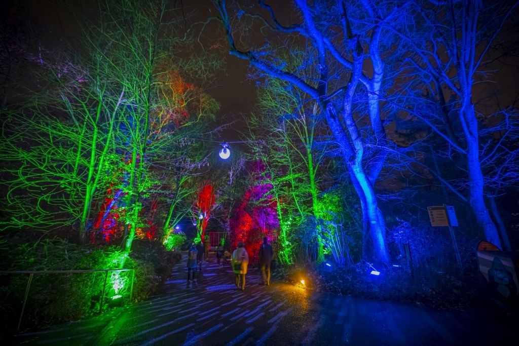 christmas-garden-koeln-2021-tanz-sterne