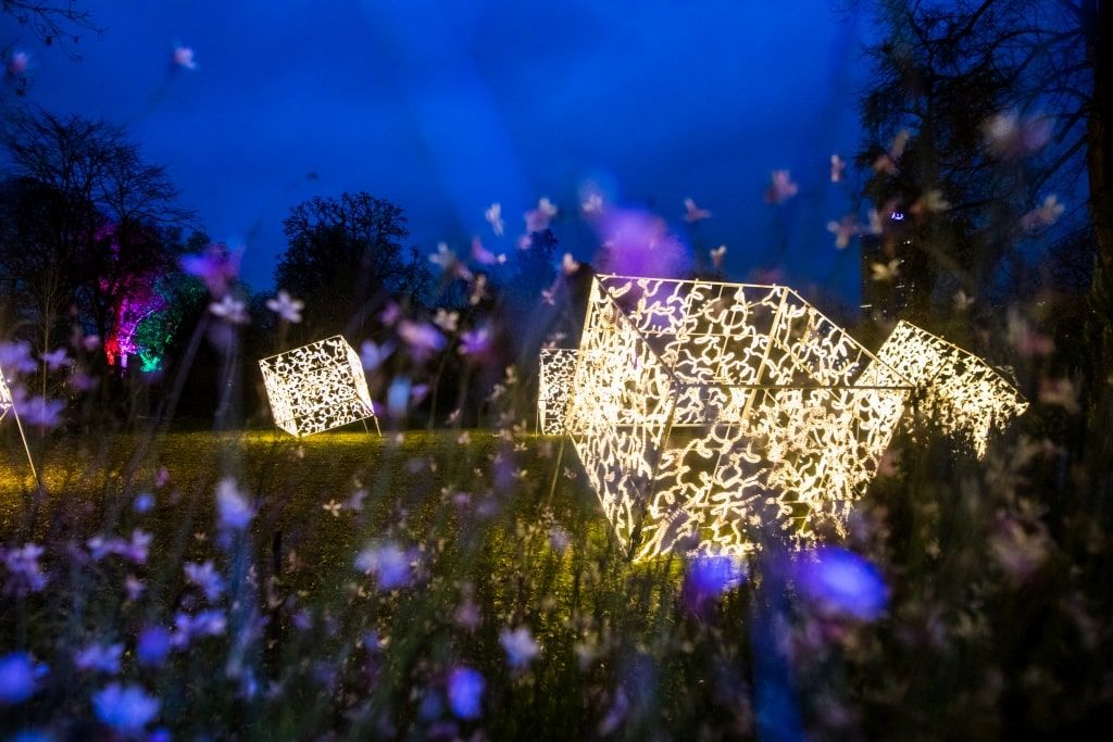 christmas-garden-koeln-2021-wuerfel
