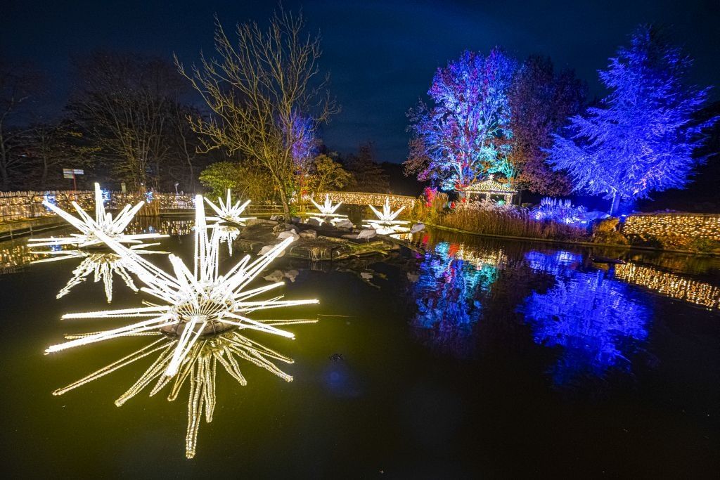 christmas-garden-muenster-2021-fluss-traeume