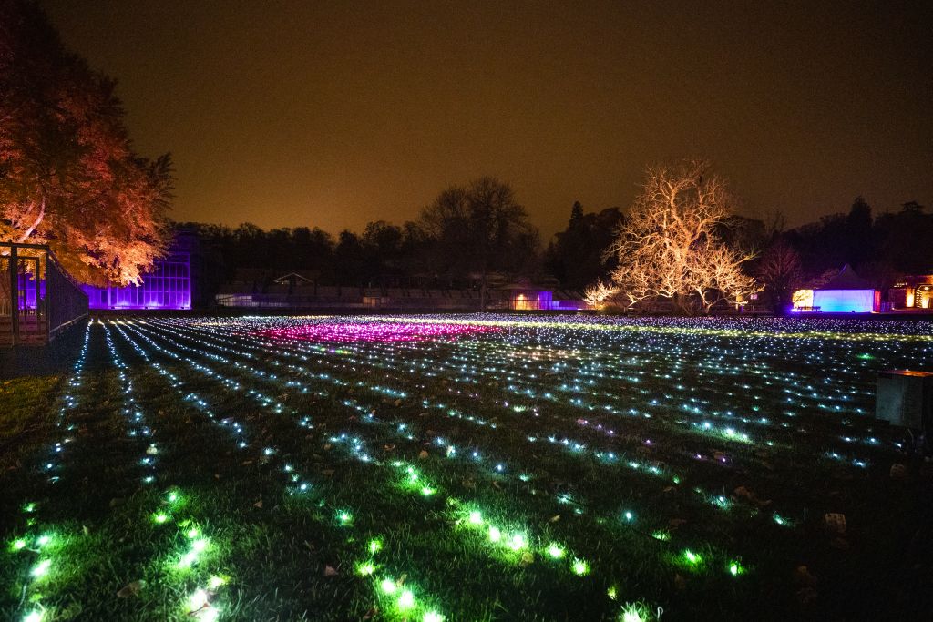 christmas-garden-stuttgart-2021-field-of-lights