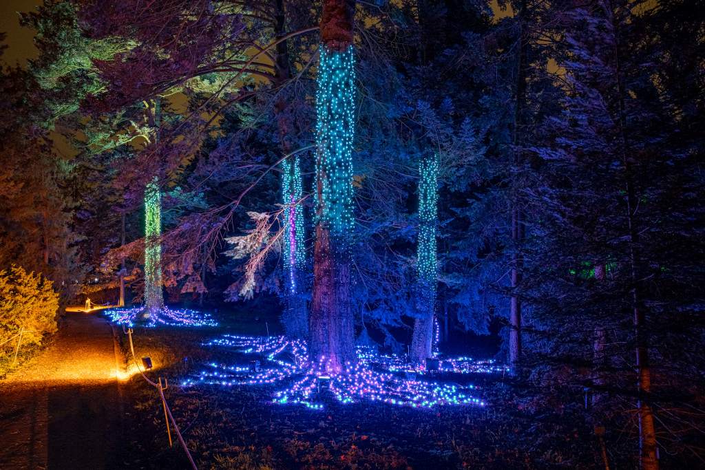 christmas-garden-berlin-2019-firework-trees