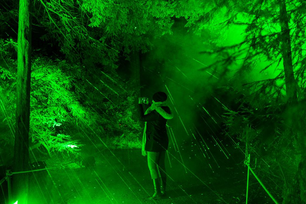 christmas-garden-dresden-2019-lasergarden