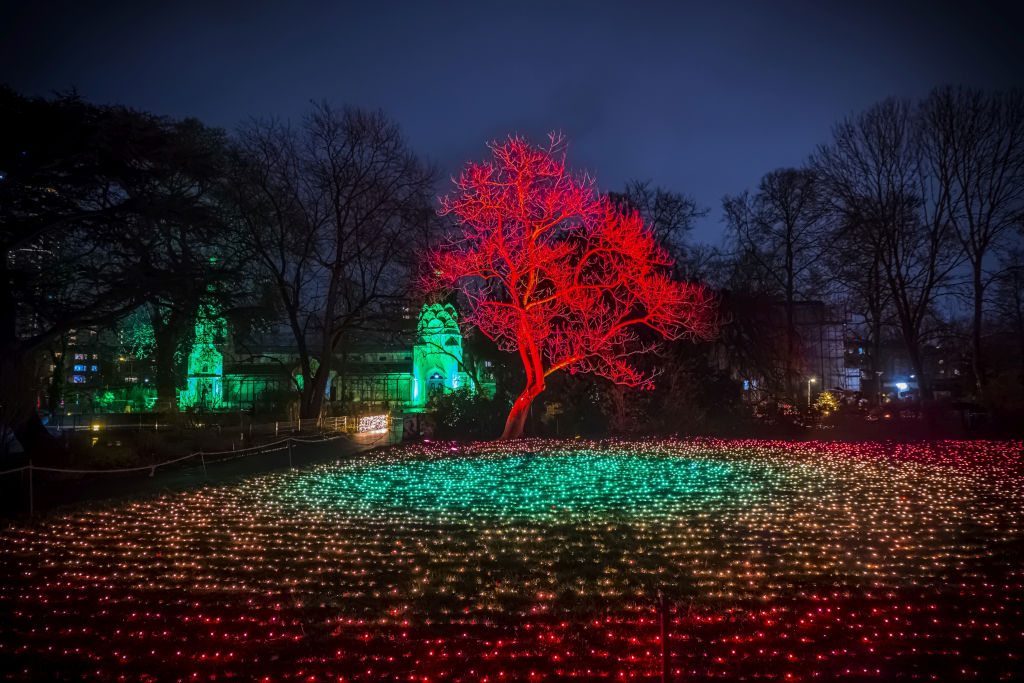 Christmas Garden Köln 2021 | Field of Lights ©Christmas Garden/Markus Hauschild