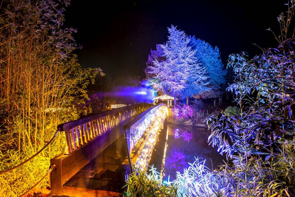 Christmas Garden Münster 2019 | Glowworm Bridge ©Christmas Garden/Münster4life