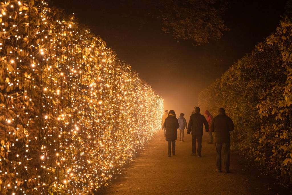 ChristmasGarden