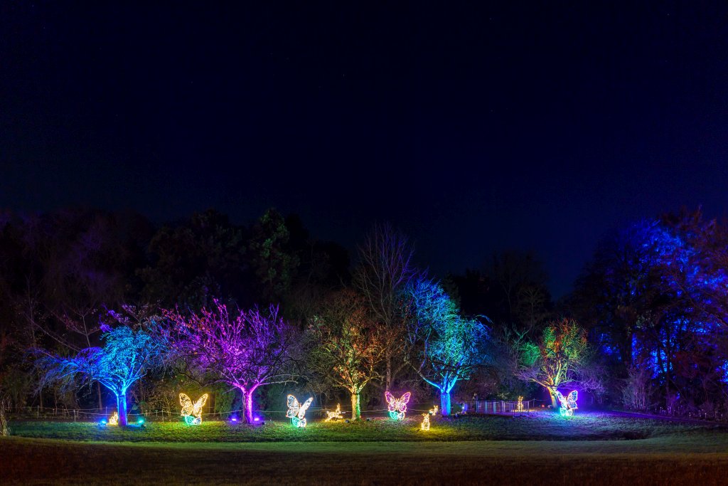 Blaue Stunde im Christmas Garden Berlin_2022_11_15