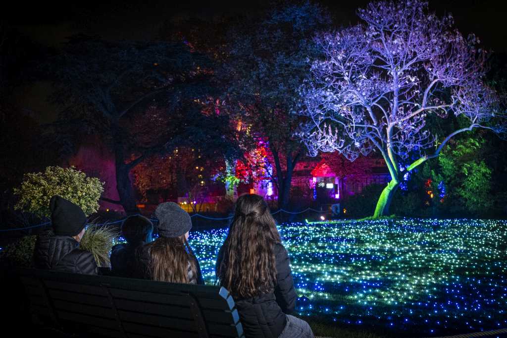 christmas-garden-koeln-2022-lichtermeer (1)