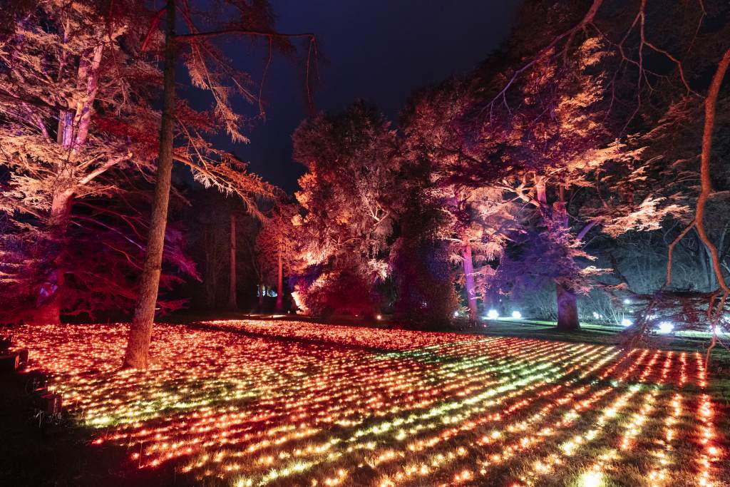 christmas-garden-mainau-2022-field-of-lights
