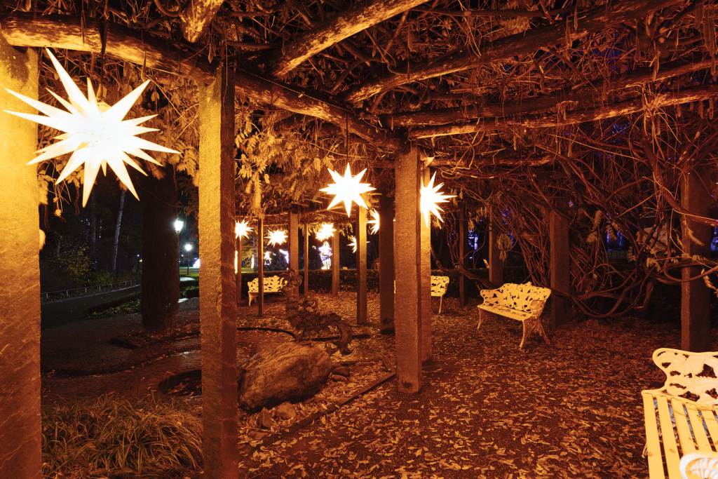 christmas-garden-mainau-2022-sternennacht