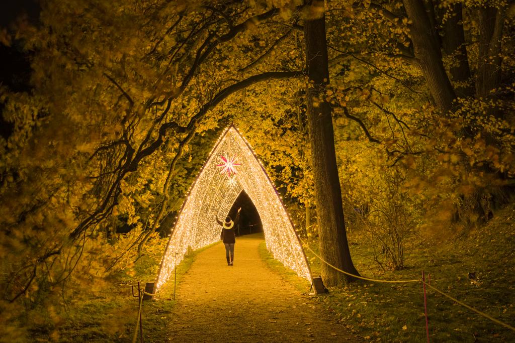 Christmas Garden Dresden 2019 | Kathedrale des Lichts ©Christmas Garden/Michael Clemens