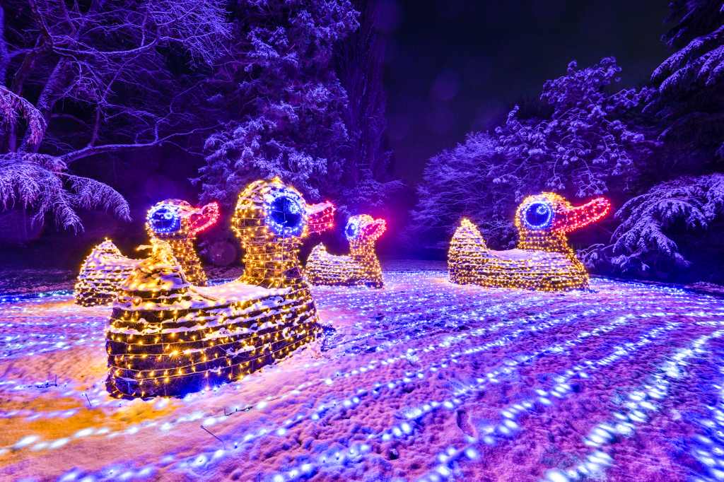 Insel Mainau: Christmas Garden Mainau christmas-garden-mainau-2022©Christmas Garden_Markus Burkhard