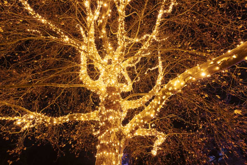 christmas-garden-mainau-2022-eleganz-im-lichterglanz