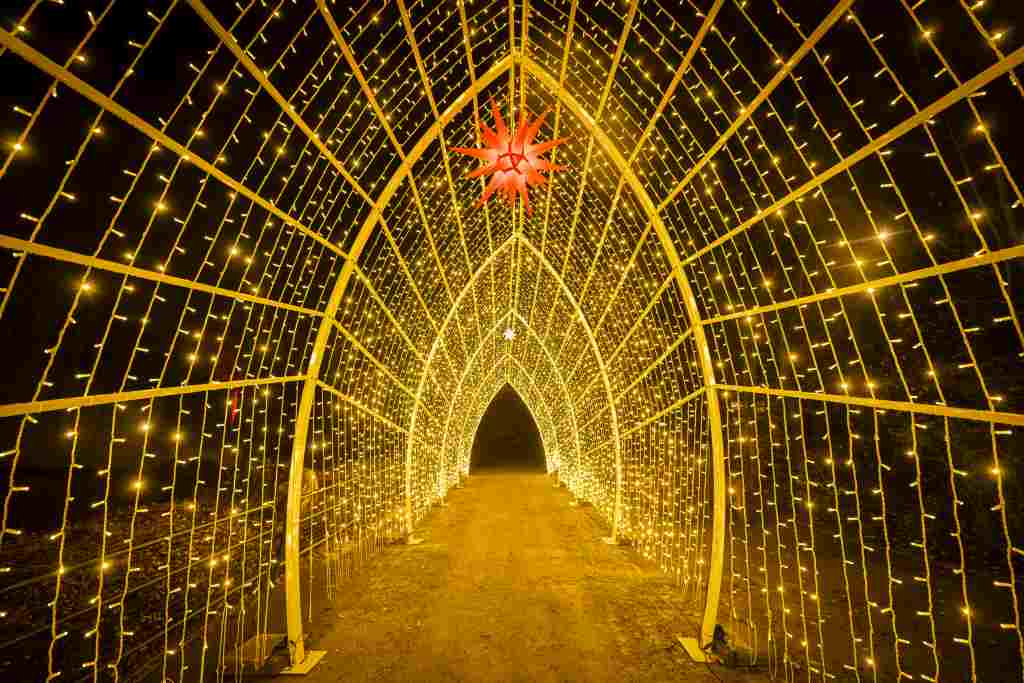 BFF Christmas-garden-muenster-2022©Christmas Garden_Markus Hauschild