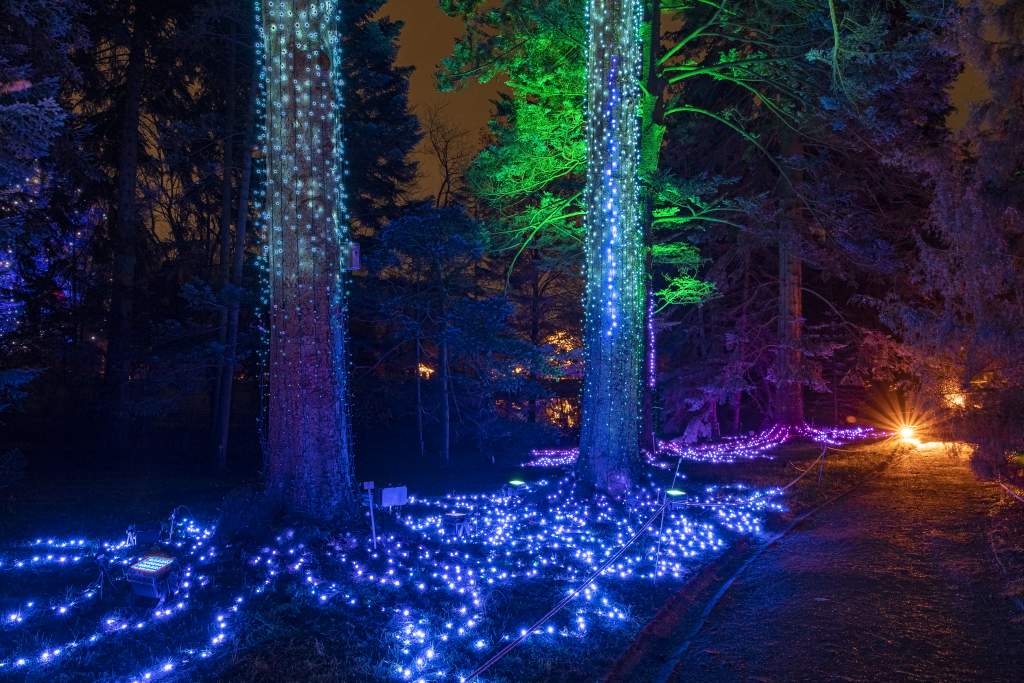 Christmas Garden Berlin 2019 | Firework Trees ©Christmas Garden/Michael Clemens
