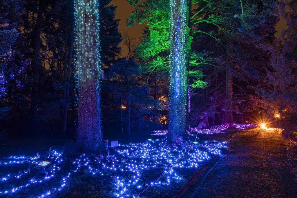 Christmas Garden Berlin 2019 | Firework Trees ©Christmas Garden/Michael Clemens Christmas Garden Berlin 2019 | Firework Trees ©Christmas Garden/Michael Clemens