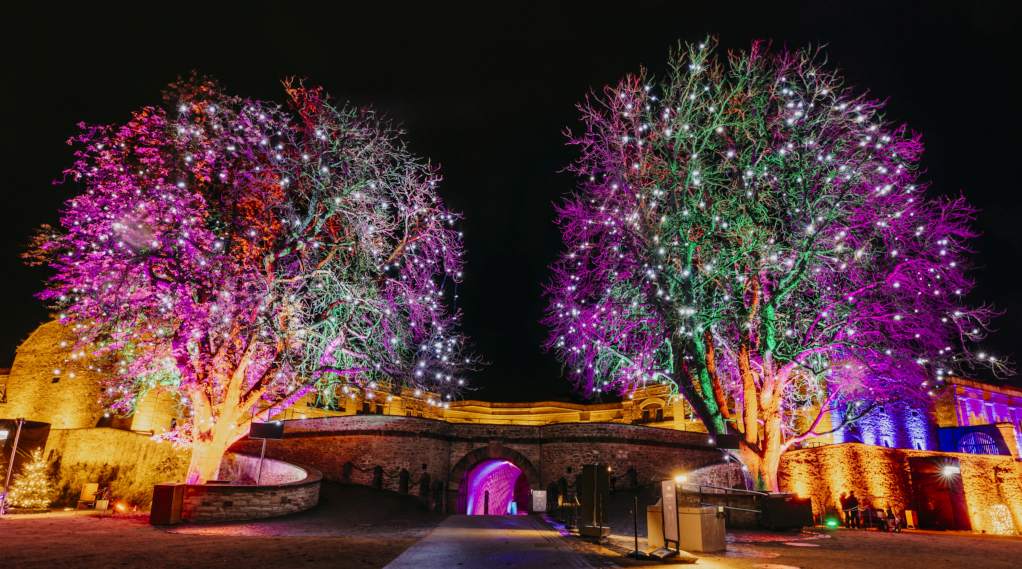 Christmas Garden Koblenz 2022 | Trees of Wonders ©Christmas Garden/Stefan Hegenberg