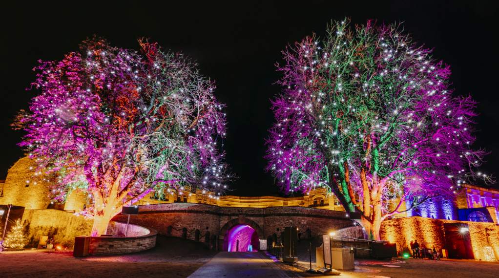 Christmas Garden Koblenz 2022 | Bäume der Wunder ©Christmas Garden/Stefan Hegenberg Christmas Garden Koblenz 2022 | Trees of Wonders ©Christmas Garden/Stefan Hegenberg