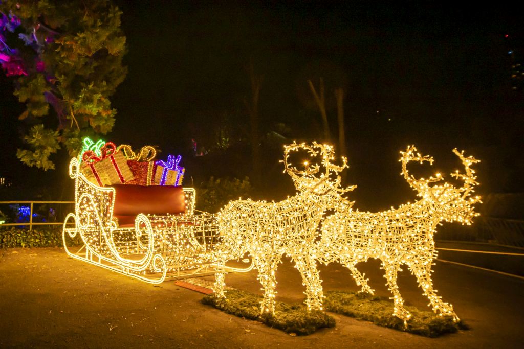 Christmas Garden Köln 2022 | Reindeer sleigh ©Christmas Garden/Markus Hauschild