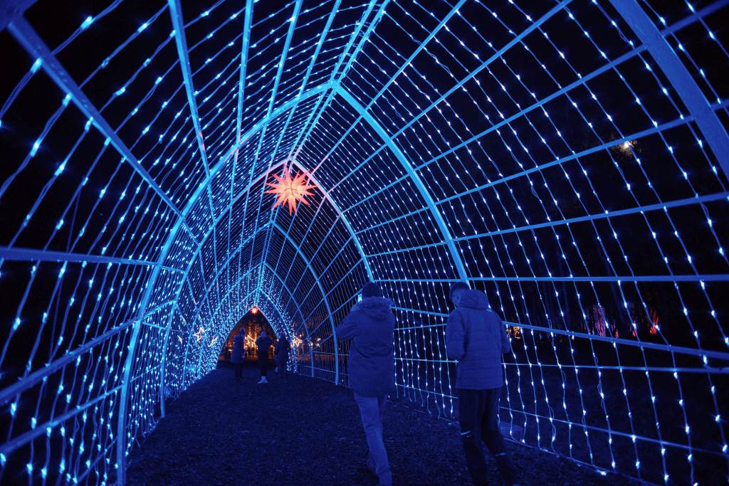 Windsor Illuminated 2021 ©Fanatic Creative Windsor Illuminated 2021 ©Fanatic Creative