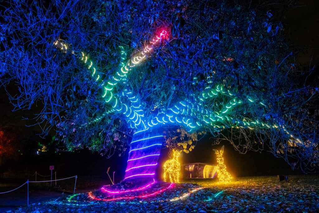 Christmas Garden Berlin Official site