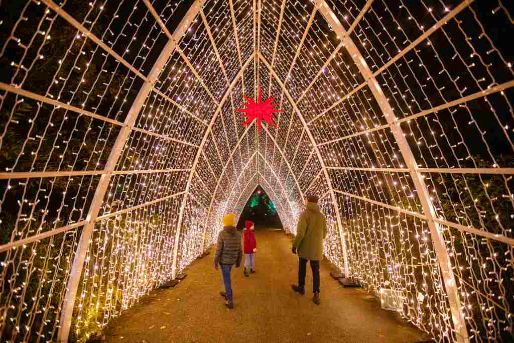Christmas Garden Dresden 2019 | Kathedrale des Lichts ©Christmas Garden/Michael Clemens