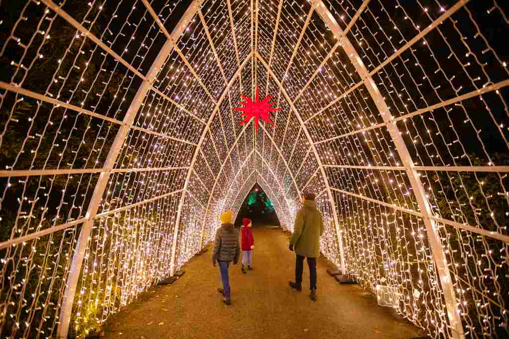 Christmas Garden Dresden 2019 | Cathedral of Light ©Christmas Garden/Michael Clemens