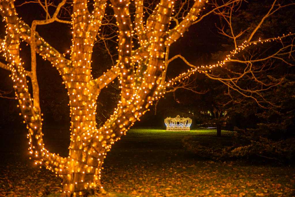 Christmas-garden-muenster-2022©Christmas Garden_Markus Hauschild