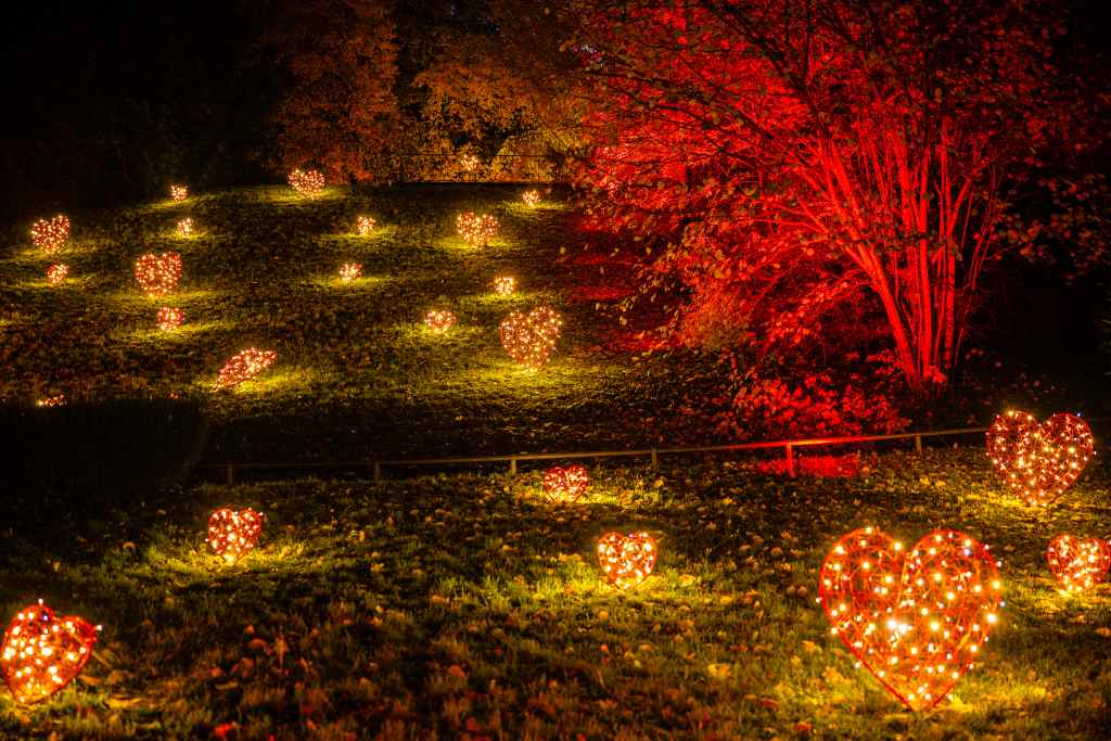 Christmas Garden Insel Mainau 2021 | Castle ©Christmas Garden/Achim Mende
