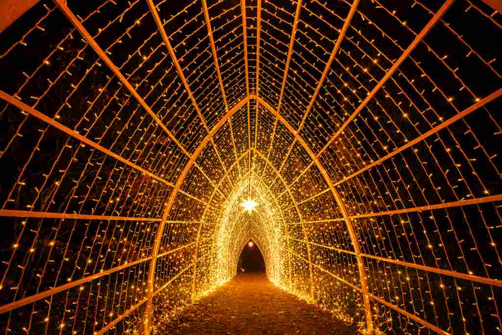 christmas-garden-insel-mainau-2023-kathedrale christmas-garden-mainau-2022©Christmas Garden_Markus Burkhard