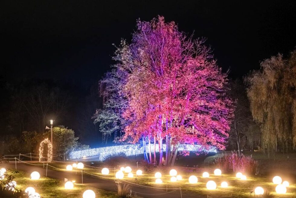 Ihr Besuch – Christmas Garden Berlin