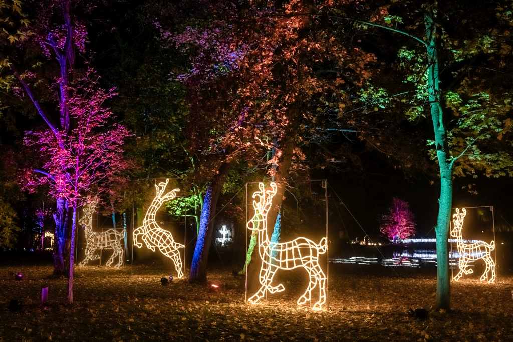 christmas-in-the-animal-park-2022©Weihnachten im Tierpark_Michael Clemens