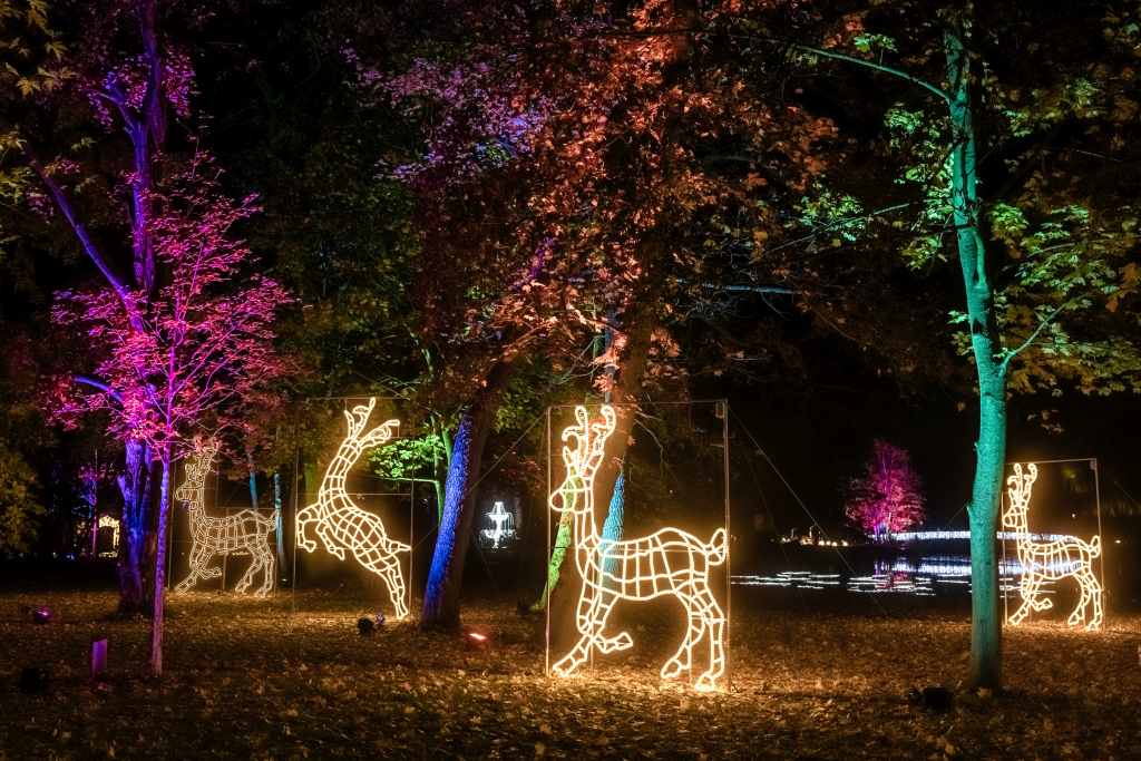 CG23 christmas-in-the-animal-park-2022©Weihnachten im Tierpark_Michael Clemens