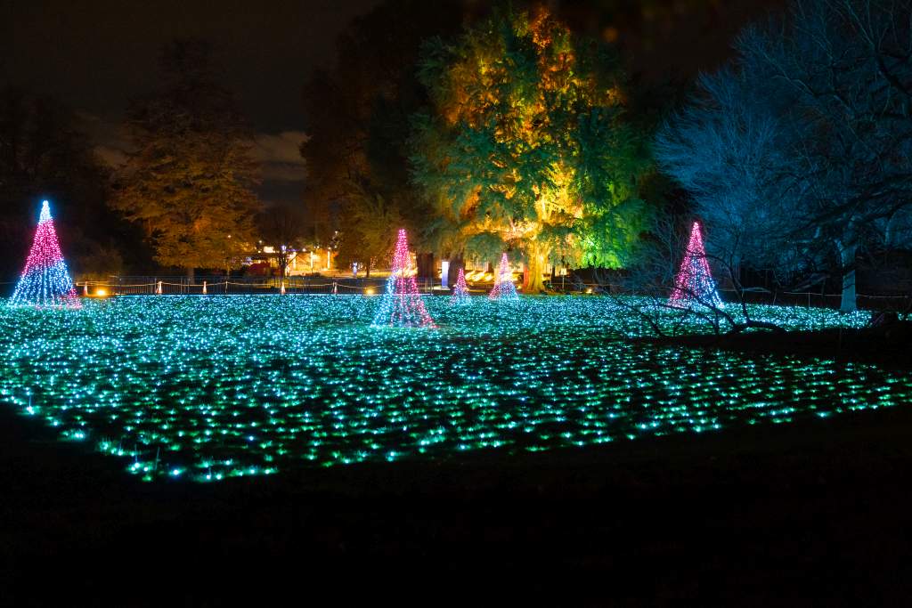 christmas-in-the-animal-park-2022©Weihnachten im Tierpark_Michael Clemens