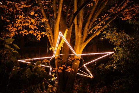Christmas Garden Hamburg Offizielle Seite