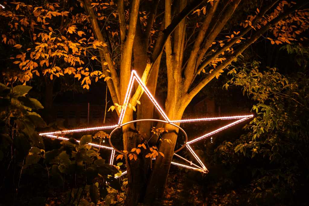 christmas-garden-hamburg-2023-baumstern