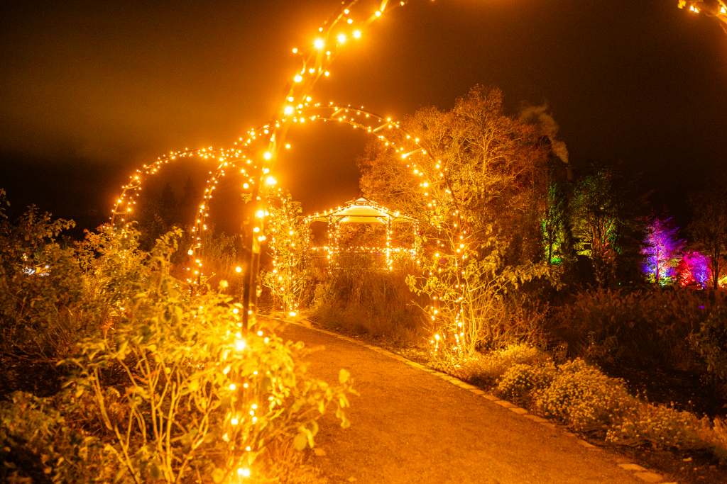 christmas-garden-hamburg-2023-rosenbogen