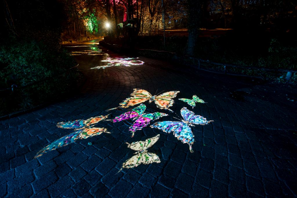 christmas-garden-hannover-2023-schmetterlinge
