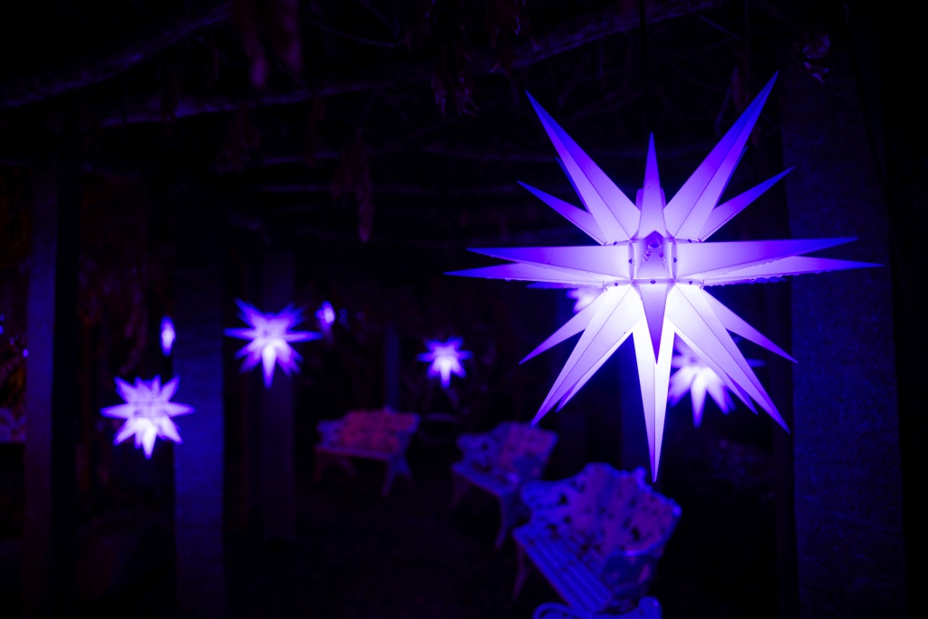 christmas-garden-insel-mainau-2023-herrnhuter-sterne